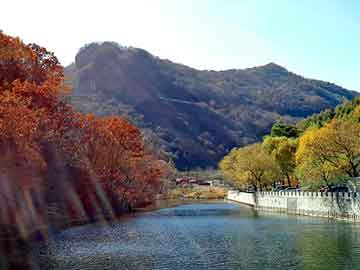 新澳门二四六天天彩，莱芜市委书记